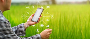 Agronegócio: chatbot e Chat GPT irão transformar o setor