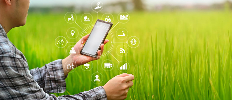 Agronegócio: chatbot e Chat GPT irão transformar o setor
